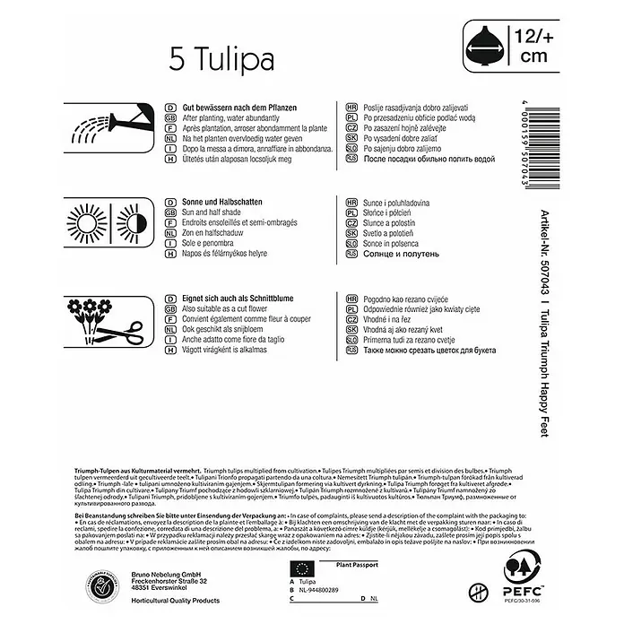 Kiepenkerl Blumenzwiebeln Tulpe 'Happy Feet' - Tulipa x hybride, 5 Stk. - Produktverpackung für 5 Tulipa Triumph Happy Feet Blumenzwiebeln mit Pflanzhinweisen und Gütesiegeln.