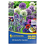 Kiepenkerl Sommerblumenzwiebel-Mix Butterfly Garden (28 Stk.) | BAUHAUS