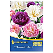 Kiepenkerl Frühlingsblumenzwiebeln Romantic Island Mix (Tulipa, 12 Stk.) | BAUHAUS