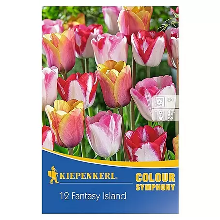 Kiepenkerl  Frühlingsblumenzwiebeln Tulpenmischung Fantasy Island