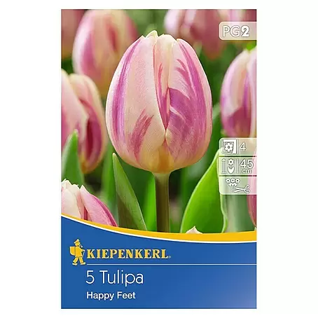 Kiepenkerl  Frühlingsblumenzwiebeln Tulpe 'Happy Feet'