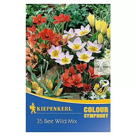 Kiepenkerl  Frühlingsblumenzwiebeln Bee Wild Mix