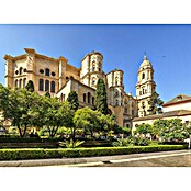 Póster Málaga (Catedral, An x Al: 80 x 60 cm) | BAUHAUS