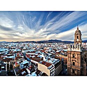 Póster Málaga (Vista Aerea Catedral, An x Al: 80 x 60 cm) | BAUHAUS