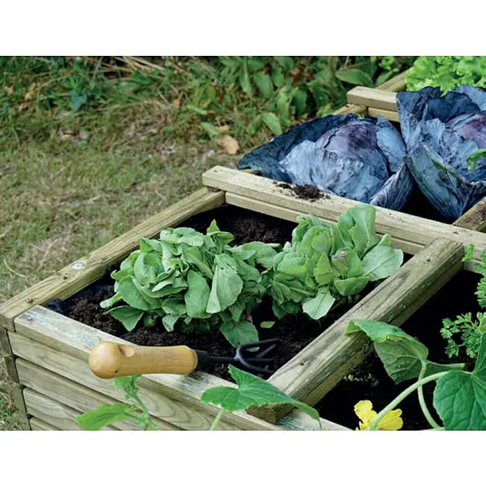 Cerland Huerto urbano Basil - 120 x 120 x 36 cm, Madera, Natural - Huerto elevado con lechuga, col y herramienta de jardinería. La estructura es de madera y está plantada con verduras variadas para el jardín.