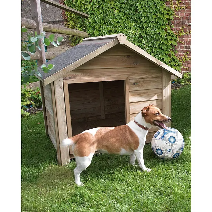 Cerland Caseta para perro Willow S - 80 x 90 x 82 cm, Madera, Natural, 80 x 90 x82 cm - Un perro frente a una caseta con un balón de fútbol, escena de alegría animal juguetona en el jardín.