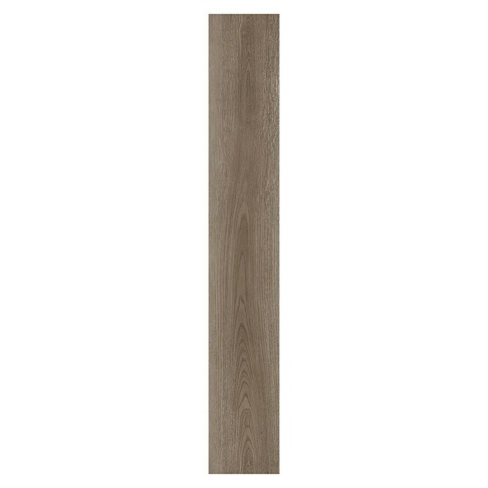 Laminado AC5-33 Roble Tenero (Roble, 1.200 x 196 x 8 mm)