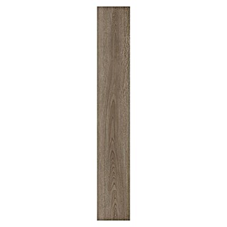 Laminado Roble Tenero (1.200 x 196 x 8 mm, Roble gris, AC5)