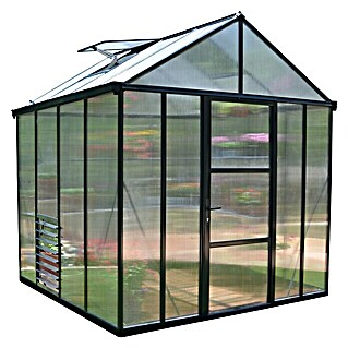 Palram – Canopia Gewächshaus Glory 8x8 (2,45 x 2,45 x 2,69 m, Glasstärke: 10 mm, Polycarbonat)