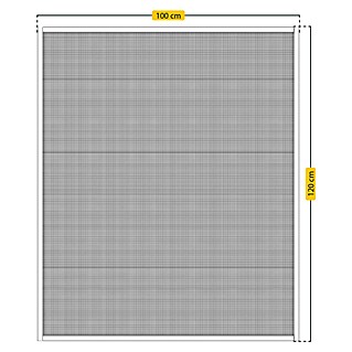 Schellenberg Zaštita od insekata za prozore EasyClick (Š x V: 100 x 120 cm, Montaža mreže protiv komaraca: Stezanje, Boja okvira: Bijele boje)