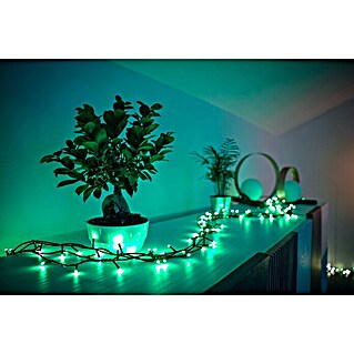 Twinkly LED-Lichterkette (Außen, 32 m, 400-flammig, Lichtfarbe: RGBW)