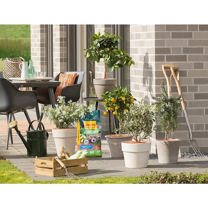 Seramis Tongranulat für Beet-, Balkon- & Kübelpflanzen - 12,5 l - Terrasse mit Pflanzen in Töpfen und Seramis Pflanz-Granulat für eine gesunde Pflanzenaufzucht im Garten oder auf dem Balkon.
