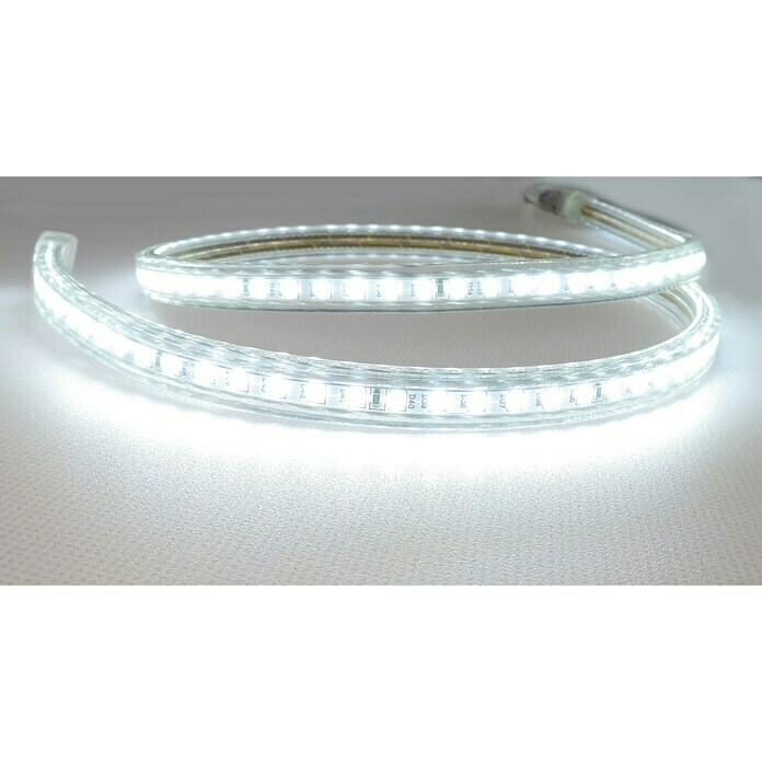 Alverlamp Tira LED a metros LT220 (12 W, Color de luz: Blanco frío, Temperatura de color ajustable)