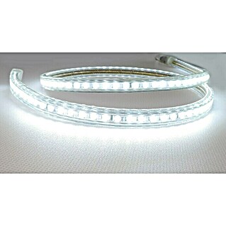 Alverlamp Tira LED LT220 (Largo: 100 m, Color de luz: Blanco neutro, 12 W)