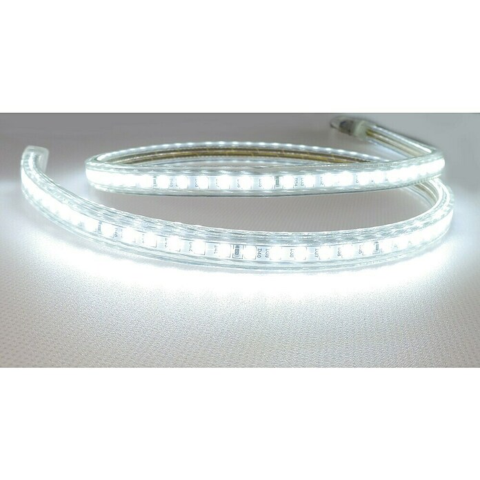 Alverlamp Tira LED a metros LT220 (12 W, Color de luz: Blanco neutro, Temperatura de color ajustable)