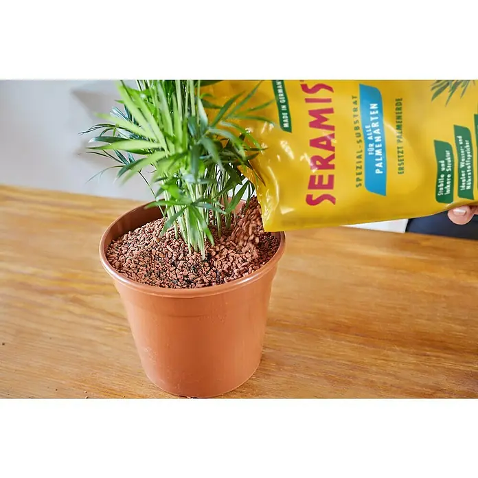 Seramis Pflanzensubstrat für Palmen - 7 l - Einpflanzen einer Palme mit Seramis Spezial-Substrat für Palmenarten, das Palmen-Erde ersetzt und ideale Bedingungen bietet.