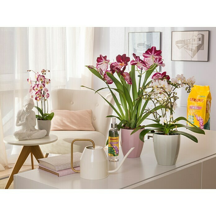 Seramis Orchideen-Granulat (7 l)