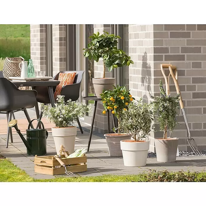 Seramis Tongranulat für Beet-, Balkon- & Kübelpflanzen - 6 l - Ein sonnenbeschienener Patio präsentiert verschiedene Topfpflanzen wie Zitrusbäume und blühende Sträucher, mit Gartengeräten und Gartenmöbeln zum Entspannen.