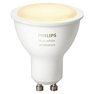 Philips Hue Bombilla LED (5,5 W, GU10, Blanco cálido, 1 ud.)