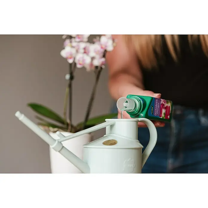 Westland Orchideendünger - 200 ml - Eine Person gießt Orchideendünger in eine Gießkanne, um Orchideen zu versorgen. Der grüne Dünger ist speziell für Orchideen hergestellt.