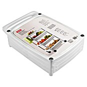 Tatay Carro con ruedas 4 niveles (36 x 52 x 79,5 cm, Blanco)