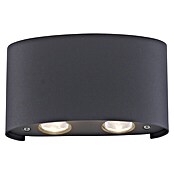 Paul Neuhaus LED-Wandstrahler Carlo (4,5 W, L x B x H: 13 x 3,7 x 8 cm, Anthrazit, Warmweiß, 4 Stk.) | BAUHAUS