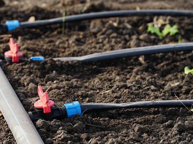 Micro-Drip- und Pipeline-System