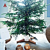 Christbaumständer Timber (Max. Baumlänge: 3,5 m, Max. Stammdurchmesser: 14 cm, Fassungsvermögen Wassertank: 4,8 l) | BAUHAUS