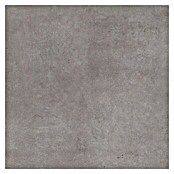 Feinsteinzeugfliese Base (600 x 600 mm, Anthrazit) | BAUHAUS