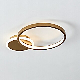Eglo LED-Deckenleuchte GAFARES (15 W, L x B x H: 40,5 x 29 x 5,5 cm, Gold/Weiß)