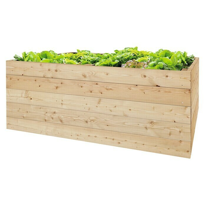 Hochbeet Lärche 32 mm (200 x 100 x 72,5 cm, Holz, Natur) | BAUHAUS