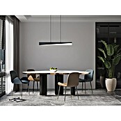 Eglo Isidro LED-Pendelleuchte (27 W, L x B x H: 79,5 x 6 x 11 cm, Schwarz, Warmweiß) | BAUHAUS