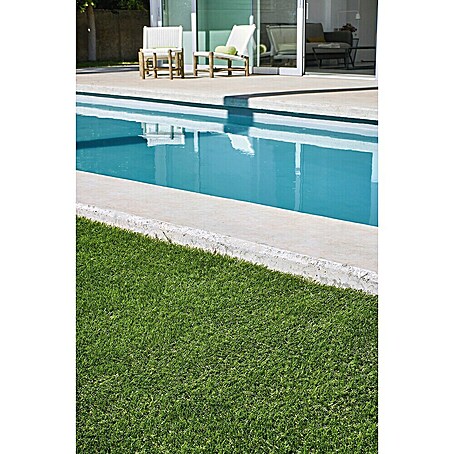 Kunstrasen Denia X-TRA S50 (4 x 2 cm, Grün, 3 700 g/m²)