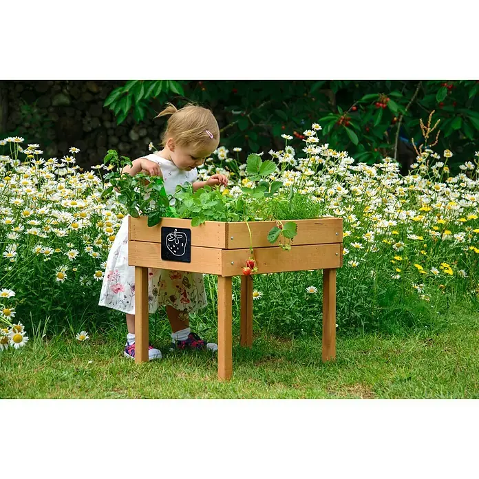 Dobar Hochbeet - 50 x 40 x 45 cm, Holz, Braun - Ein kleines Mädchen steht im Garten und inspiziert ein Hochbeet aus Holz mit Erdbeerpflanzen.