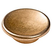 Nesu Pomo para muebles 178LT1 (Ø x Al: 60 x 19 mm, Acero, Dorado, Satinado)