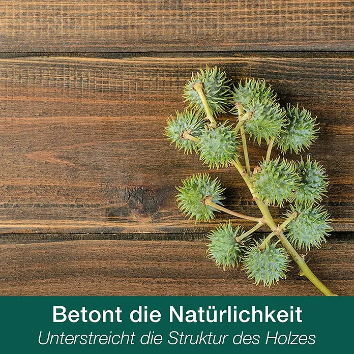 Bona Home Parkett-Öl - 2,5 l, Weiß - Eine Nahaufnahme von grünen, stacheligen Samenkapseln auf einem hölzernen Untergrund, die die natürliche Holzstruktur betont.