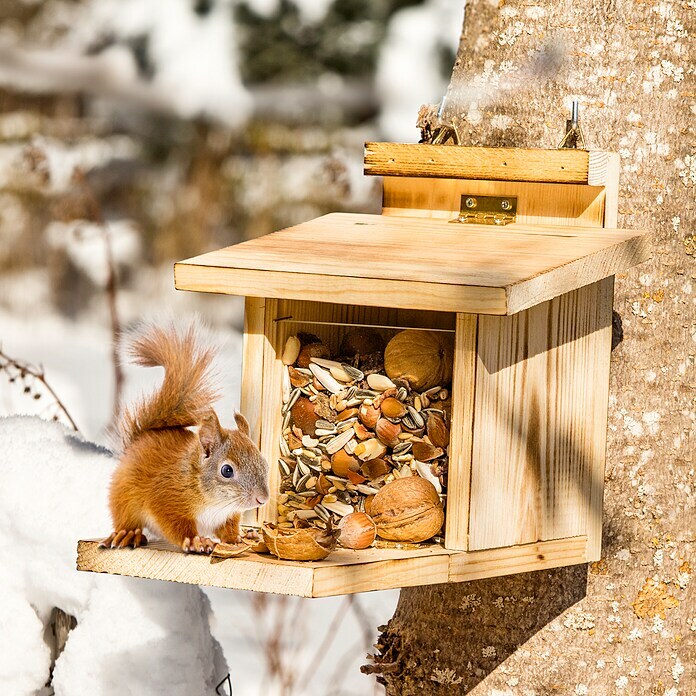 Windhager Eichhörnchenfutterstation (Holz, L x B x H: 22 x 17 x 18 cm) | BAUHAUS