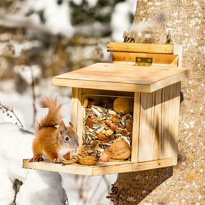 Windhager Eichhörnchenfutterstation - Holz, L x B x H: 22 x 17 x 18 cm - Ein Eichhörnchen sitzt auf einem hölzernen Futterhaus, das mit Nüssen und Samen gefüllt ist. Das Haus hängt an einem Baum im Schnee.