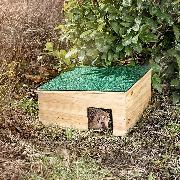 Windhager Igelhaus - L x B x H: 38 x 38 x 18 cm - Igelhaus aus Holz mit Gründach und Igel, der aus der Tür schaut, im Garten. Ein sicherer Unterschlupf für den kleinen Gartenbewohner.