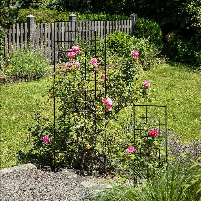 Windhager Rankgitter Zen - B x H: 30 x 122 cm, Metall, Schwarz - Gartenblick mit Rosen, die an einer schwarzen Rankhilfe emporwachsen, vor einem sonnigen, grünen Hintergrund.