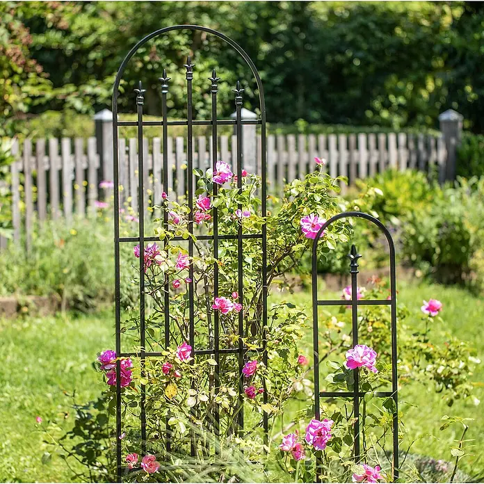 Windhager Rankgitter Arch - B x H: 61 x 203 cm, Metall, Schwarz - Eine Nahaufnahme von zwei schwarzen Rankgerüsten mit Rosen vor einem Garten mit einem Holzzaun im Hintergrund.