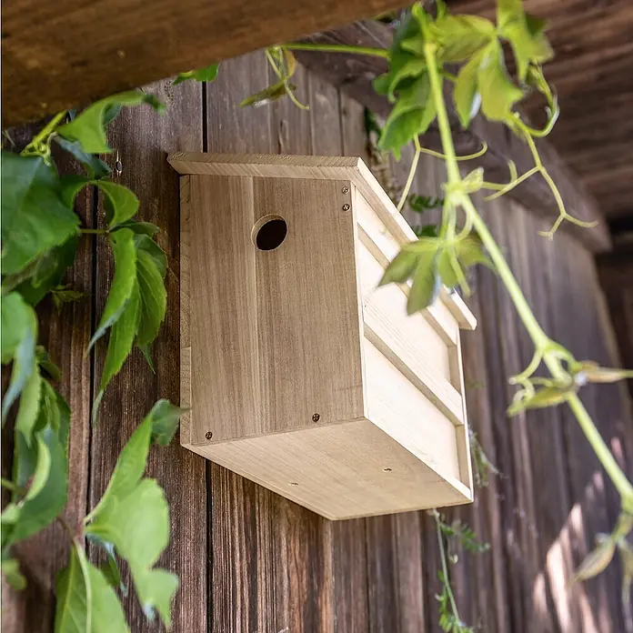 Windhager Nistkasten Twinhouse Sparrow - 18 x 38 x 26 cm, Natur, Holz - Nahaufnahme eines hölzernen Vogelhauses mit kreisförmigem Eingang, befestigt an einer Holzstruktur und umgeben von grünen Blättern.