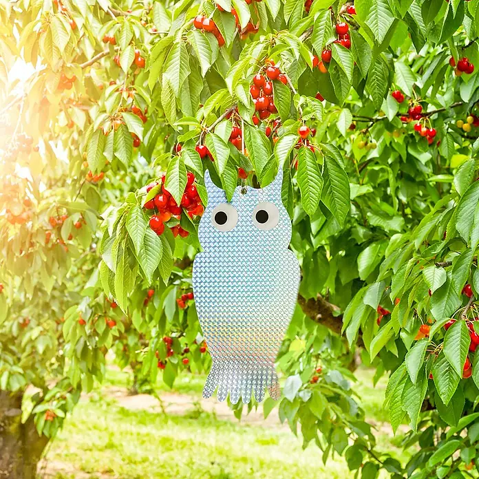 Windhager Vogelabwehr - B x H: 18 x 35,5 cm, Gesamtstückzahl: 2 Stk. - Ein schillernder, reflektierender Eulen-Vogelschreck hängt in einem Kirschbaum, um Vögel abzuschrecken und die Ernte zu schützen.