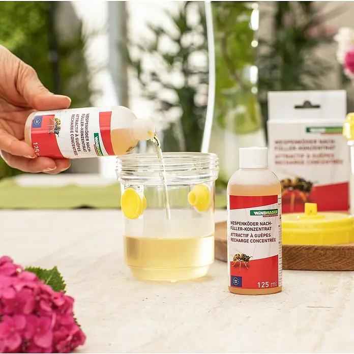 Windhager Wespenfalle Lockstoff Nachfüllpack - 2 Stk. - Die Wespenköder Nachfüller-Konzentrat Flasche wird in eine Wespenfalle gegossen.