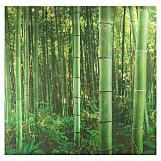 Vénilia Fensterfolie Vitrostatic (B x H: 67,5 x 150 cm, Bamboo, Selbstklebend)