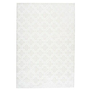 Kayoom Kurzflorteppich Monroe I (Weiß, 290 x 200 cm, 100 % Polyester)