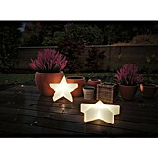 Paulmann Plug & Shine LED-Dekoleuchte Star (2,8 W, Weiß, L x B x H: 10 x 40 x 40 cm)