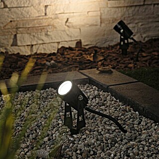 Paulmann Plug & Shine LED-Gartenspot-Set (Erdspieß, Höhe: 26 cm)