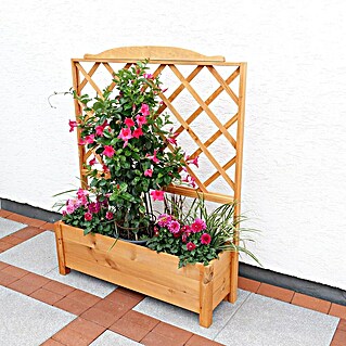 Promadino Pflanzkasten Romantica 80 Cm – Aus Kiefernholz, Honigbraun, Für Garten & Terrasse, Einfach Aufzubauen