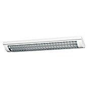 Ledvance LED-Deckenleuchte Office Line (25 W, L x B x H: 59,5 x 13,4 x 4,6 cm, Weiß, Kaltweiß) | BAUHAUS